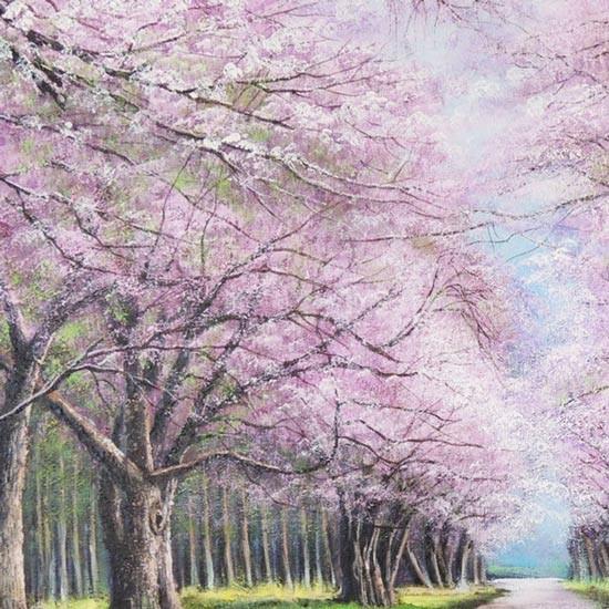 絵画 油絵 二十間道路桜並木 F30号 (木村由記夫) 【肉筆 絵画 油絵 二十間道路桜並木 F30号 (木村由記夫) 【肉筆