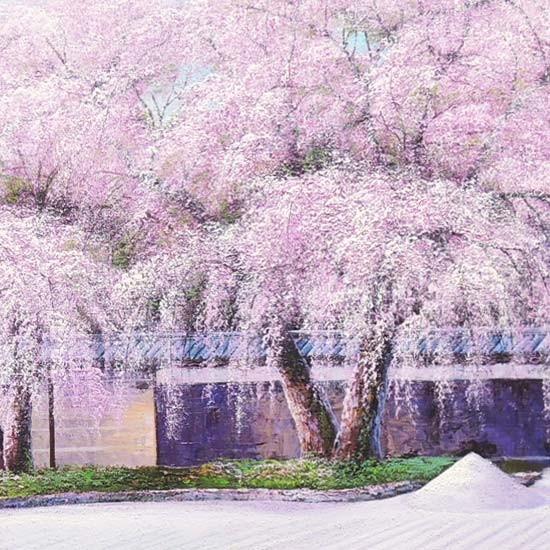 絵画 油絵 高台寺の桜 F20号 （木村由記夫） 【肉筆】【油絵