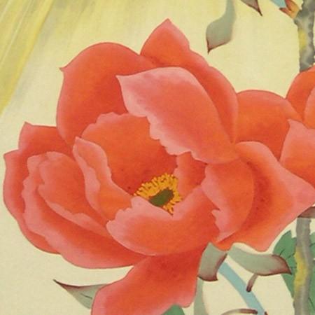 掛け軸 寒牡丹 (岡本珠洸) （掛軸小物なし) 【掛軸】 : 掛け軸・絵画の