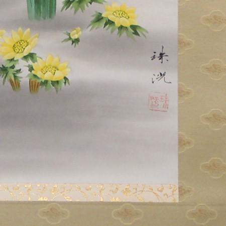 掛け軸 水仙 福寿草 (岡本珠洸) （掛軸小物なし) 【掛軸】 : 掛け軸