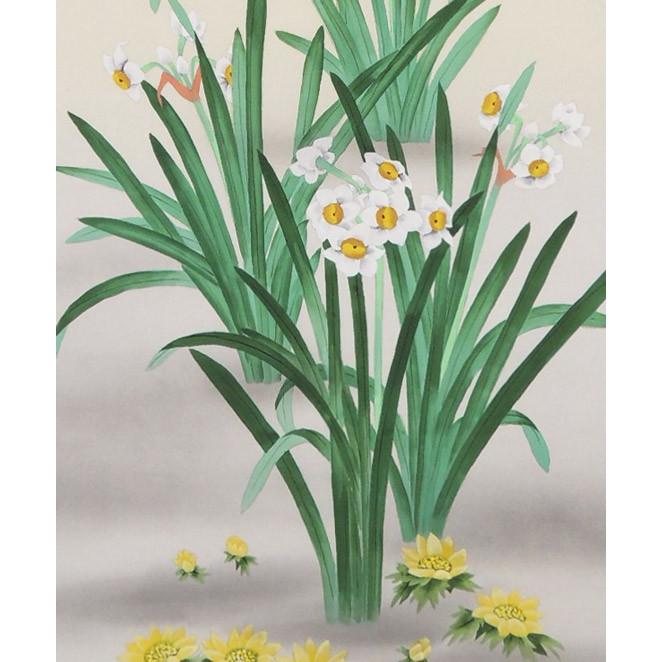 掛け軸 水仙 福寿草 (岡本珠洸) （掛軸小物なし) 【掛軸】 : 掛け軸