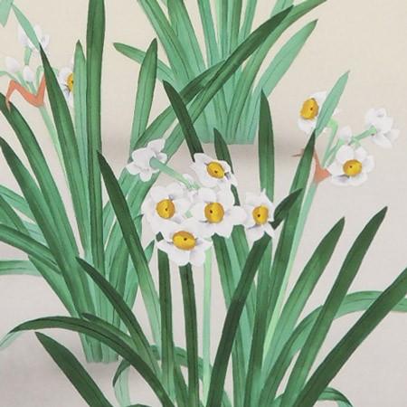 何宗逸 水仙図 掛軸 約120cm x 30cm 掛け軸 水仙 福寿草 (岡本珠洸) 【掛軸】【一間床・半間床】【冬