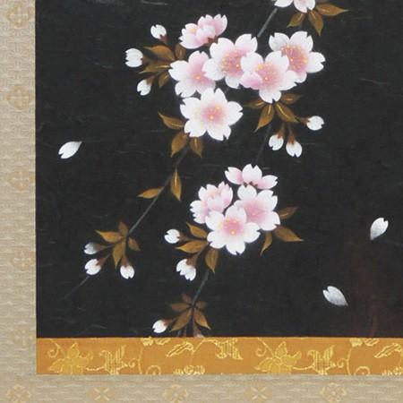 掛け軸 夜桜 （南川康夫） 【掛軸】【半間床】【丈の短い掛軸】【春