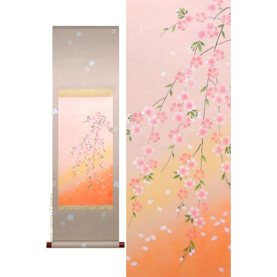 掛け軸 しだれ桜 （南川康夫） 【掛軸】【半間床】【丈の短い掛軸