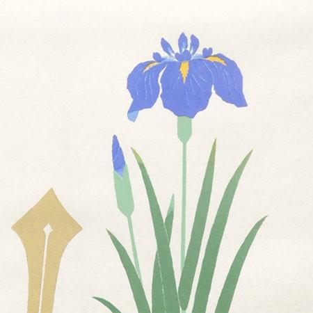 掛け軸 兜 （吉岡桂秀） 【掛軸】【半間床】【丈の短い掛軸】【こども