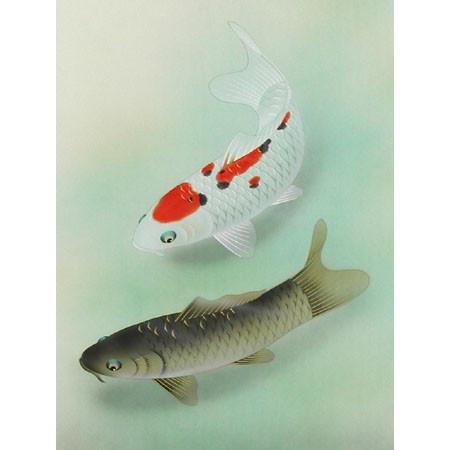 掛け軸 遊鯉 (森山観月) 【掛軸】【一間床・半間床】【鯉】 : 掛け軸