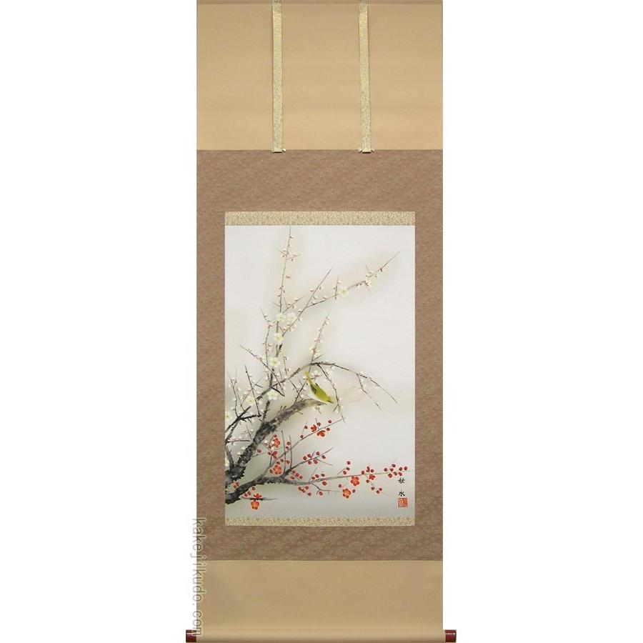 掛け軸　紅白梅に鶯　(浮田秋水)　　掛軸