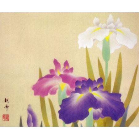 絵画(和装額) 菖蒲 (山村観峰) : 掛け軸・絵画の専門店 掛軸堂画廊