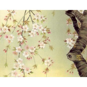 掛軸 桜花爛漫 観月 共箱付き 掛け軸 桜花爛漫 (森山観月) 掛軸 : 掛け軸・絵画の専門店 掛軸堂画廊