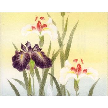 掛け軸 「菖蒲」 鈴木滝央 作 三越美術 ☆ USED 掛け軸 菖蒲と兜（掛軸小物なし） 送料無料 【掛軸】 商品詳細 掛け軸