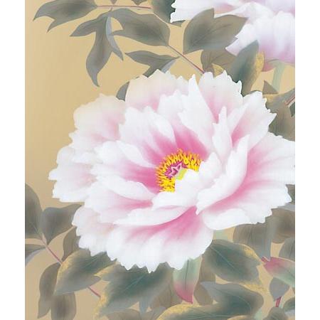掛け軸 富貴花 (吉井蘭月) 掛軸 : 掛け軸・絵画の専門店 掛軸堂画廊
