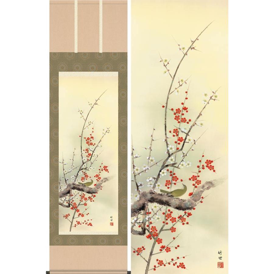 掛け軸 紅白梅に鶯 (田村竹世) 掛軸 : 掛け軸・絵画の専門店 掛軸堂