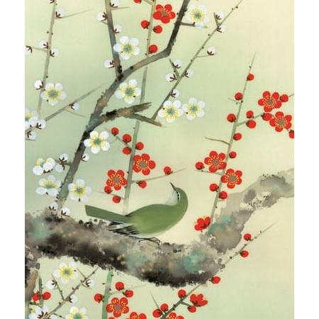 掛け軸 紅白梅に鶯 (根本孝逸) 掛軸
