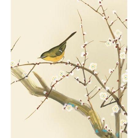 平松耕一　紅白梅に鶯　掛軸　絹本 掛け軸 紅白梅に鶯 (長江桂舟) 掛軸 : 掛け軸・絵画の専門店 掛軸堂