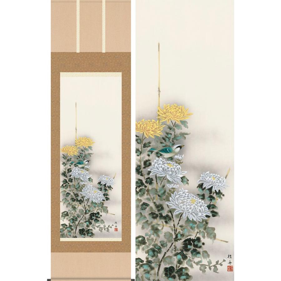 菊　掛け軸 掛け軸 菊