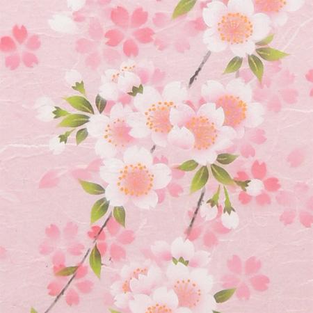 掛け軸　さくら　（南川康夫）　　【掛軸】【半間床】【春】_1