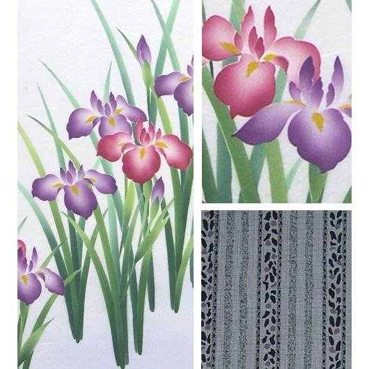 掛け軸 菖蒲 （南川康夫）（掛軸小物なし） 【掛軸】 : 掛け軸・絵画の