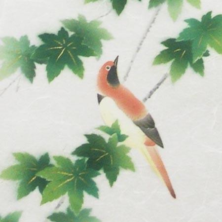 掛け軸 南瓜(かぼちゃ) 蟋蟀(こおろぎ)絵 コレクション