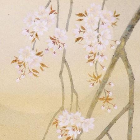 掛け軸 枝垂れ桜 （三宅和光） （掛軸小物なし） 【掛軸】 : 掛け軸