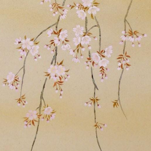 掛け軸 枝垂れ桜 （三宅和光） （掛軸小物なし） 【掛軸】 : 掛け軸