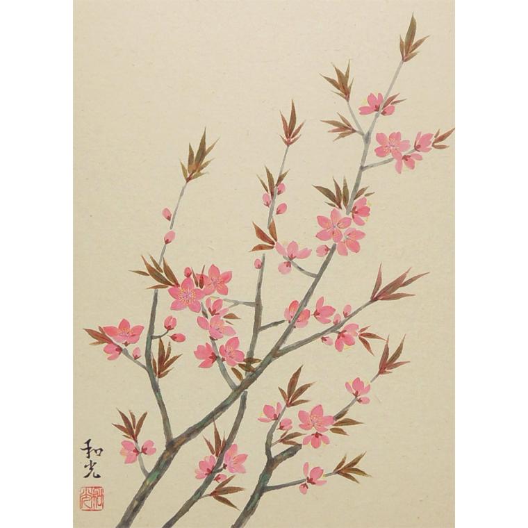 掛け軸 桃の花 （三宅和光） （掛軸小物なし） 【掛軸】 : 掛け軸