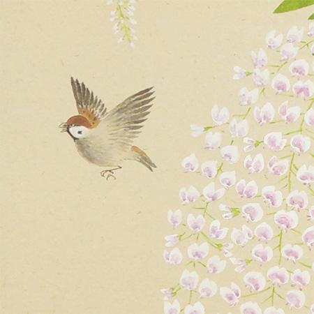 掛け軸 藤の花 （三宅和光） （掛軸小物なし） 【掛軸】 : 掛け軸