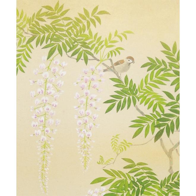 掛け軸 藤の花 （三宅和光） （掛軸小物なし） 【掛軸】 : 掛け軸
