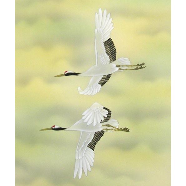 掛け軸 雲海飛翔 (田島香梅) （掛軸小物なし） 【掛軸】 : 掛け軸