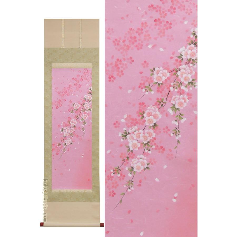 掛け軸　さくら　（南川康夫）　（掛軸小物なし）　　【掛軸】