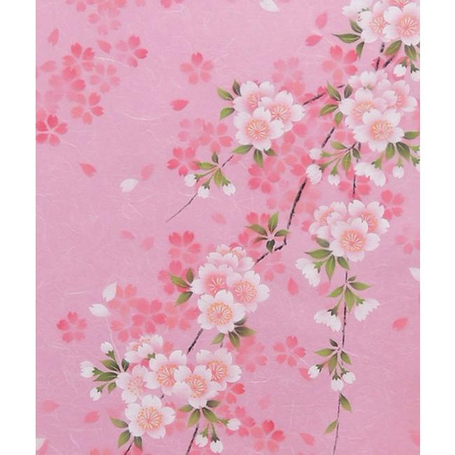 掛け軸　さくら　（南川康夫）　（掛軸小物なし）　　【掛軸】_3
