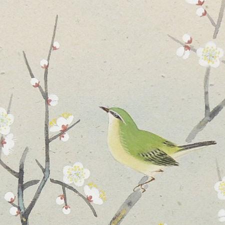 モダン掛け軸 梅に鴬 (三宅和光) （掛軸小物なし） 【掛軸】 : 掛け軸