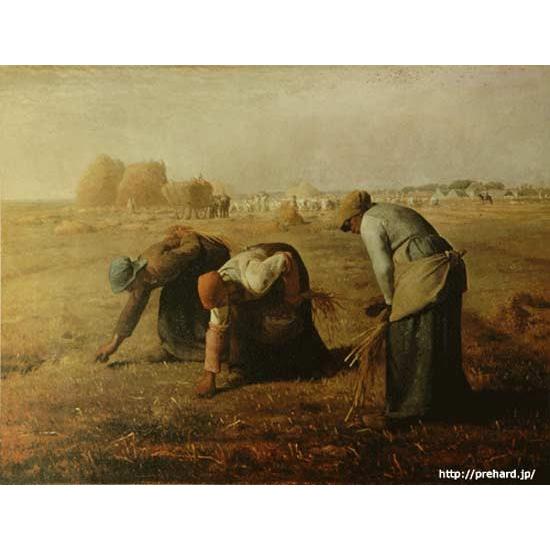 ミレー 絵画 落穂拾い P10号 【複製】【美術印刷】【世界の名画】【10
