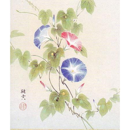 掛け軸 朝顔 （佐藤純吉） 【掛軸】【一間床】【丈の短い掛軸】【夏
