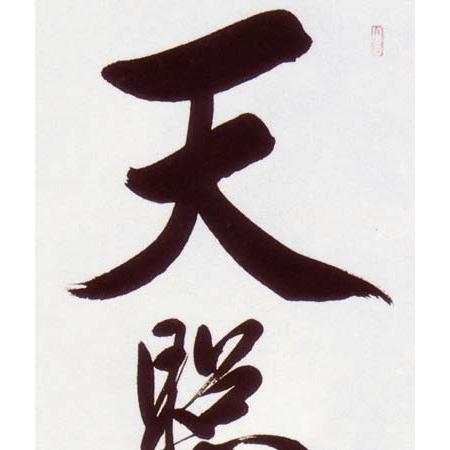 天照皇大神 墨書掛軸 Amazon｜晴れの街ギャラリー 掛け軸 天照皇大神 御神號 荒木田守明
