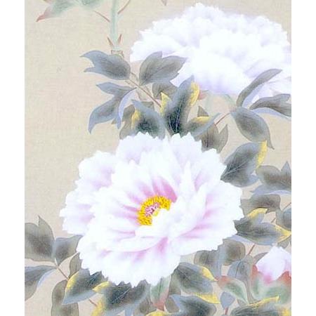掛け軸 富貴花 (松村朱夏) 【肉筆】【掛軸】【一間床・半間床】【花鳥
