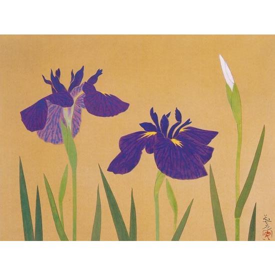 安田靫彦 絵画 菖蒲 原画古川美術館所蔵 【複製】【美術印刷】【巨匠