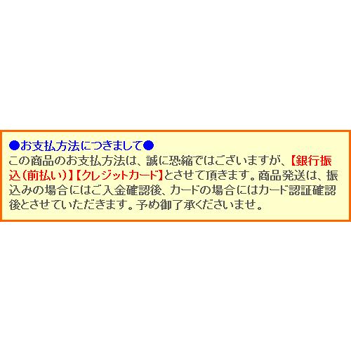 掛け軸　水墨山水　(武藤孤舟)　※即納※　　【掛軸】【一間床・半間床】【山水】｜kakejiku｜05