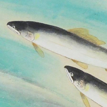光人「鮎」日本画 掛軸 共箱 O-105 2026年最新】Yahoo!オークション