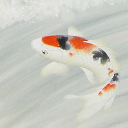 掛け軸　掛軸　鯉　滝上り 掛け軸 滝上り鯉 (仲田龍安) （掛軸小物なし） 【掛軸