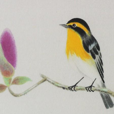 (貴重)　木内禮智 つぼみ　色紙付き　 ブロンズ像 兒嶋画廊 -Gallery Kojima-