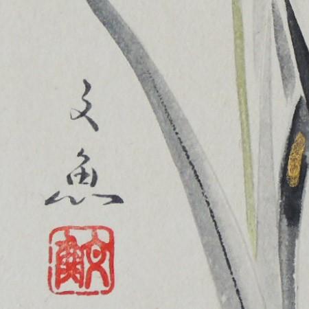 高級色紙「水仙」文魚（色紙絵） : 掛け軸・絵画の専門店 掛軸堂画廊