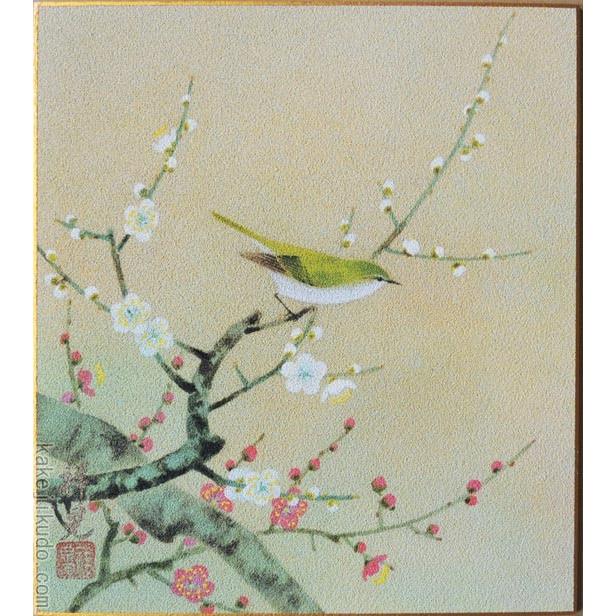 高級色紙「紅白梅に鶯」祥晃(色紙絵) : 掛け軸・絵画の専門店 高級色紙「紅白梅に鶯」祥晃(色紙絵) : 掛け軸・絵画の専門店