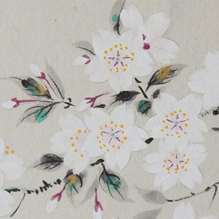 高級色紙「宵桜」文魚（色紙絵） : 掛け軸・絵画の専門店 掛軸堂画廊