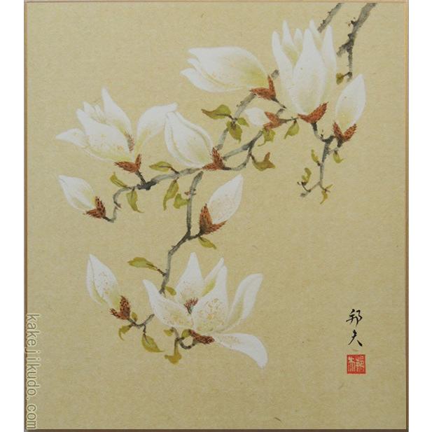 高級色紙「木蓮」邦夫（色紙絵） : 掛け軸・絵画の専門店 掛軸堂画廊