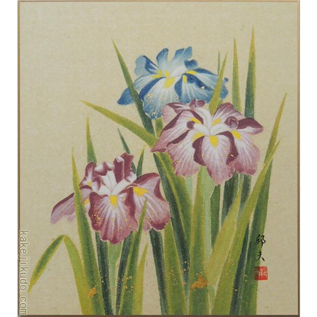 高級色紙「菖蒲」邦夫（色紙絵） : 掛け軸・絵画の専門店 掛軸堂画廊