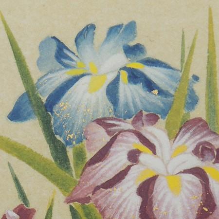 高級色紙「菖蒲」邦夫（色紙絵） : 掛け軸・絵画の専門店 掛軸堂画廊