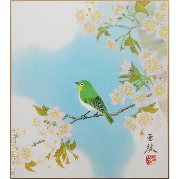 高級色紙「桜に小禽」亜綜（色紙絵） : 掛け軸・絵画の専門店 掛軸堂