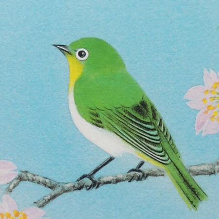 高級色紙「桜に小禽」亜綜（色紙絵） : 掛け軸・絵画の専門店 掛軸堂