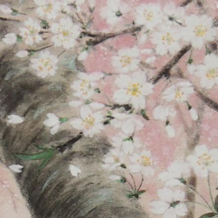 高級色紙「桜」康多（色紙絵） : 掛け軸・絵画の専門店 掛軸堂画廊