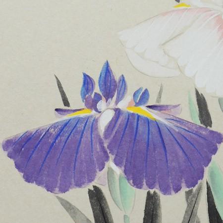 高級色紙「菖蒲」文魚（色紙絵） : 掛け軸・絵画の専門店 掛軸堂画廊